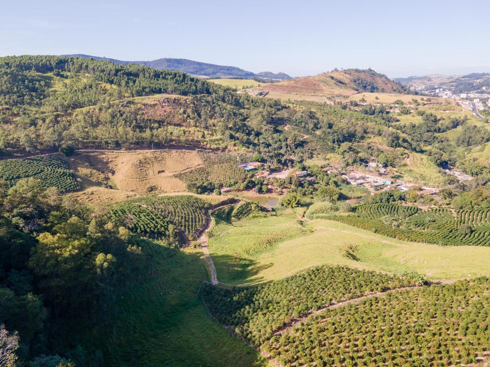 Chacara Santa Terezinha Villa Serra Negra  Eksteriør bilde